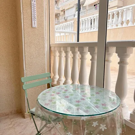 Two Bedroom Playa Del Cura Appartement